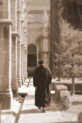 20100410034929-pasotraspaso.jpg