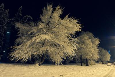 20120203180404-supercoco.jpg